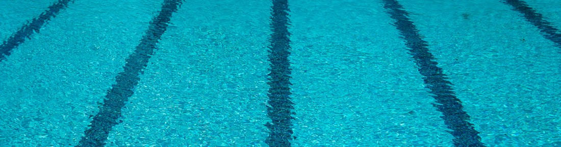 Swimming Nutrition FAQs: Your Guide to Ginger's Benefits with Active Root