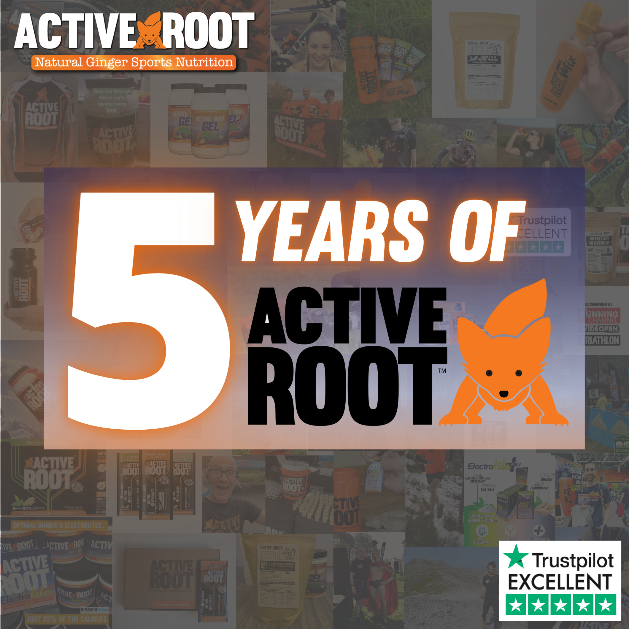 5 years of Active Root - 2020