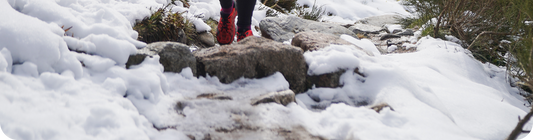 Festive Training Survival Guide: Stay on Track Without Skipping the Mince Pies