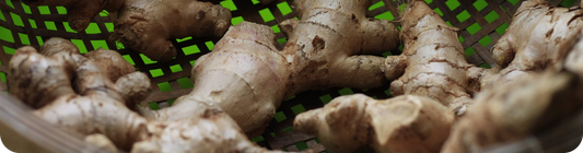 The Versatility of Ginger: Beyond the Root in Active Root Products