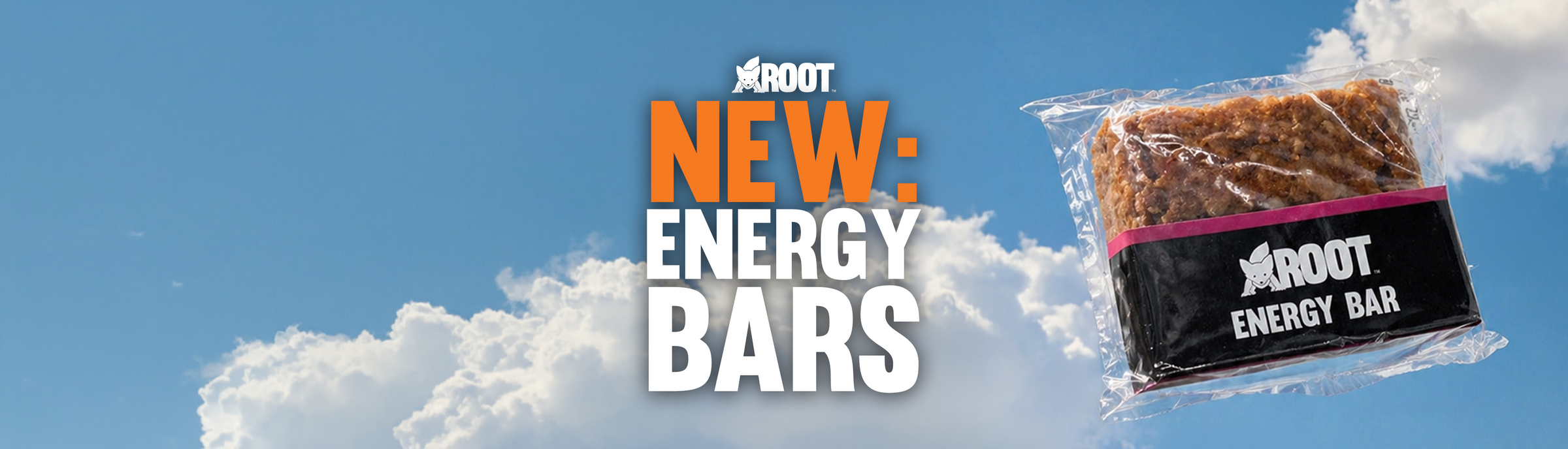 Energy Bars